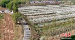 河北沧州大运河绿色“廊道”春景如画